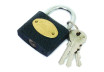 Iron pad lock 50mm TS thumbnail