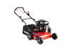 Gasoline Scarifier 2in1 4kW (5.5hp) 42cm 17" 45L RD-GSC03 thumbnail