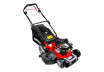 Gasoline Lawn Mower Self-propelled 4in1 2700m2 RD-GLM22 thumbnail