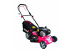 Gasoline Lawn Mower B&S 125cc 1.7kW 46cm 60L 4in1 RD-GLM05W thumbnail