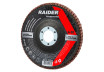 Disc pentru slefuit ceramic 125 mm G-60 thumbnail