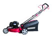 Gasoline Lawn Mower B&S 125cc 1.7kW 46cm 60L 4in1 RD-GLM05W thumbnail