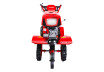 Motocultor 5.2kW7.0hp 1200mm 2+1 viteze far RD-WT15 thumbnail