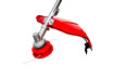 Motocoasa pe benzina 4 timpi 1.2CP 37.7 cc RD-GBC28 thumbnail