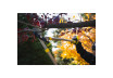 Foarfeca pentru crengi cu maner curbat 720mm 65Mn EASYCUT GX thumbnail