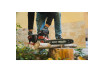 R20 Fierastrau cu lant 400mm SDS 3/8" 40V Solo RDP-SBCS20 thumbnail