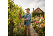 R20 Foarfeca de gradina brushless 25mm Solo RDP-BPSH20 thumbnail