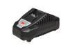 R20 Бормашина уд. безч. 2-ск. 13mm 60Nm 4Ah Case RDP-YBID20 thumbnail