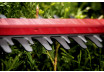 HS 18 LTX 55 * Cordless Hedge Trimmer thumbnail