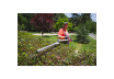 R20 Коса безчеткова с нож и корда 40V 4в1 RAIDER PRO RDP-BCPSHT20 thumbnail