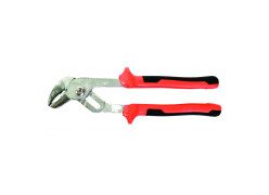 product-cleste-papagal-250mm-thumb
