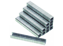 product-skobi-pnevm-taker-raider-as03-6x9-1x0-7mm-10000br-thumb