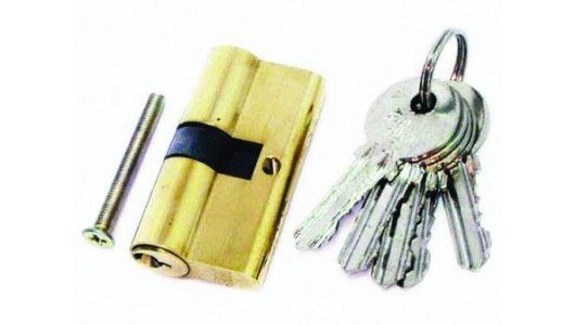 Cylinder 60mm with 6 keys TS image