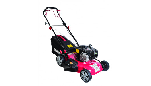Gasoline Lawn Mower B&S 125cc 1.7kW 46cm 60L 4in1 RD-GLM05W image
