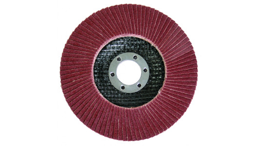 Flap disc 115mm А-60 image