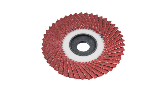 Disc pentru slefuit soft 100 mm A-100 image
