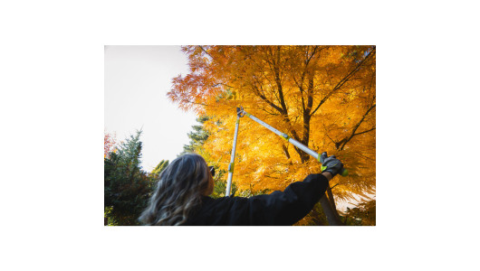 Lopping shears LS01 with telescopic handles GX image