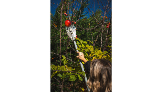 Fruit picker SMART CONNECT GX image