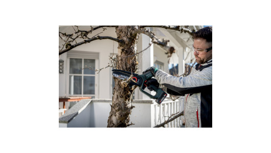 MS 18 LTX 15 Cordless pruning saw TV00 image