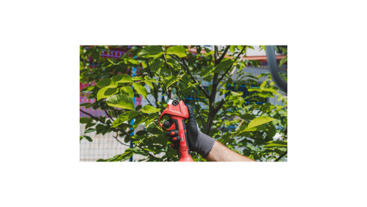 R20 Cordless Brushless Pruning Shears 30mm Solo RDP-SPSH20 image