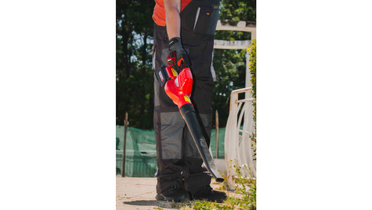 R20 Cordless Blower 180km/h 5m3/min Solo RDP-YBL20 image