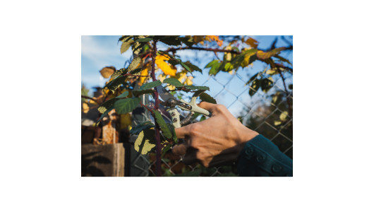 Foarfeca MINI GX image