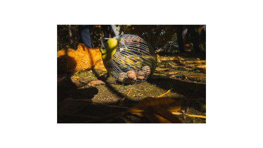 Dispozitiv pentru cules fructe SMART CONNECT image