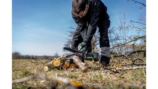 MS 18 LTX 15 Cordless pruning saw TV00 image