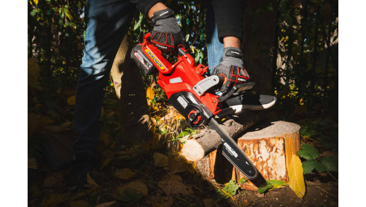 R20 Cordless Chain Saw 250mm (10) SDS 20V 3Ah RDP-SCHS20 Set image