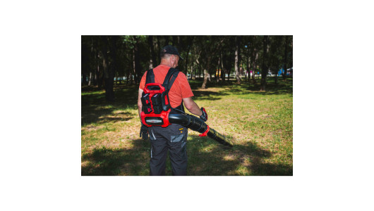 R20 Brushless Blower 40V 252km/h 4sp.+turbo Solo RDP-BBL20 image