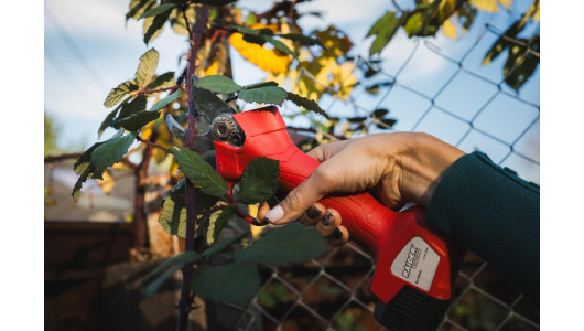 Ножица лозарска акум. безч. 16V 2x2Ah 25mm куфар RAIDER RD-PSH02 image