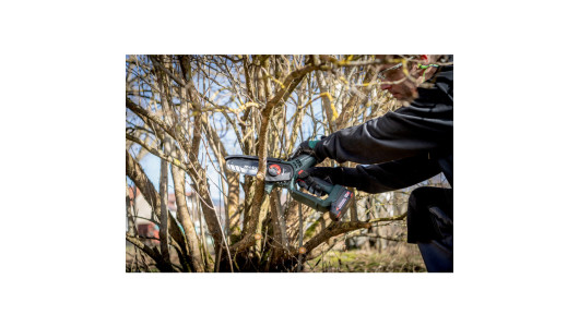 MS 18 LTX 15 Cordless pruning saw TV00 image