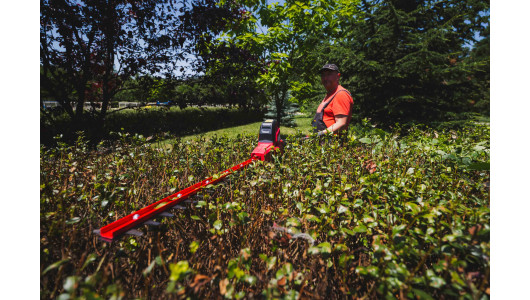 R20 Храсторез 2,4m 43cm 18mm 2Ah RAIDER PRO RDP-KHT20 image