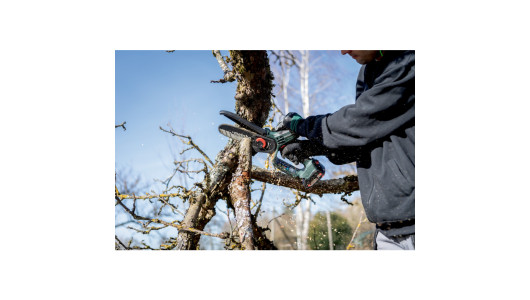 MS 18 LTX 15 Cordless pruning saw TV00 image