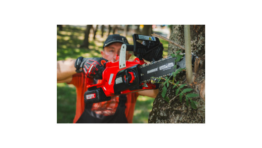 R20 Cordless Chain Saw 250mm (10) SDS 20V 3Ah RDP-SCHS20 Set image