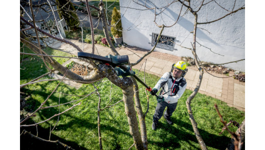 MS 18 LTX 15 Cordless pruning saw TV00 image