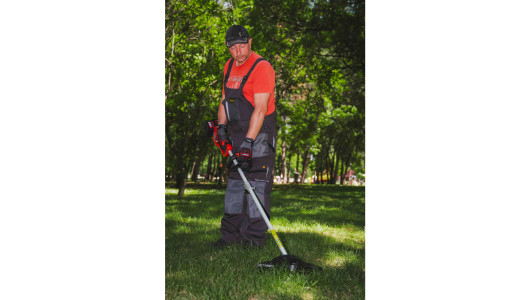 R20 Коса безчеткова с нож и корда 40V 4в1 RAIDER PRO RDP-BCPSHT20 image