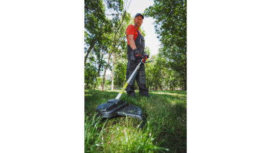 R20 Коса безчеткова с нож и корда 40V 4в1 RAIDER PRO RDP-BCPSHT20 image