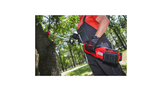 R20 Brushless Cordless Brush Cutter 40V 4in1 RDP-BCPSHT20 image