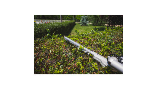 R20 Коса безчеткова с нож и корда 40V 4в1 RAIDER PRO RDP-BCPSHT20 image