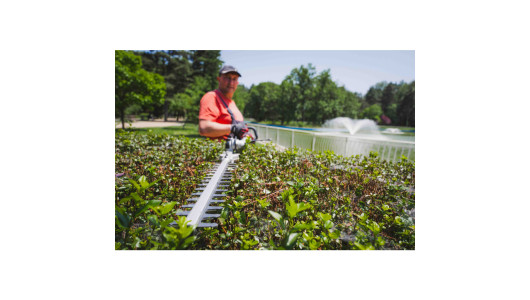 R20 Brushless Cordless Brush Cutter 40V 4in1 RDP-BCPSHT20 image