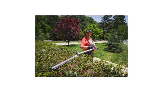 R20 Trimmer electric brushless 40V 4in1 RDP-BCPSHT20 image