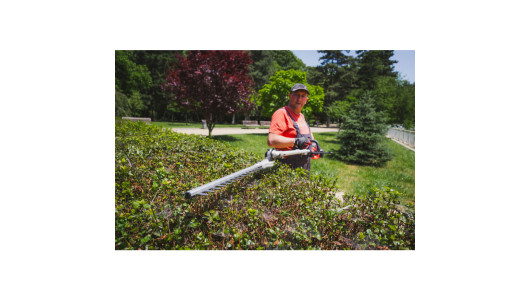 R20 Trimmer electric brushless 40V 4in1 RDP-BCPSHT20 image