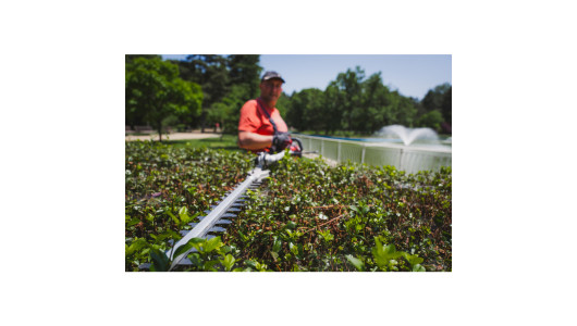 R20 Brushless Cordless Brush Cutter 40V 4in1 RDP-BCPSHT20 image